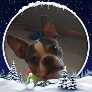 Meet your Posher, Shannon